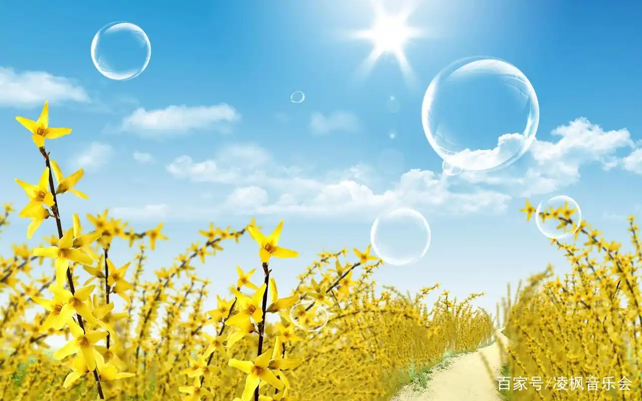 最美的时光唯美文案