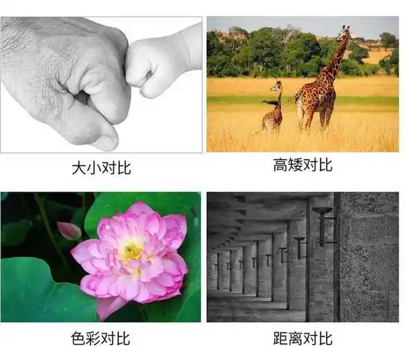 画面太"平"?"对比原则"掌握了吗