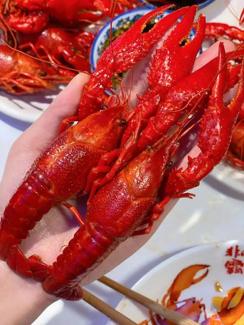 虾老总盱眙小龙虾(泗门店)夏季的第一顿小龙虾你吃了没 168 - 抖音