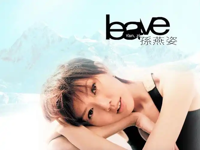 孙燕姿所有专辑封面