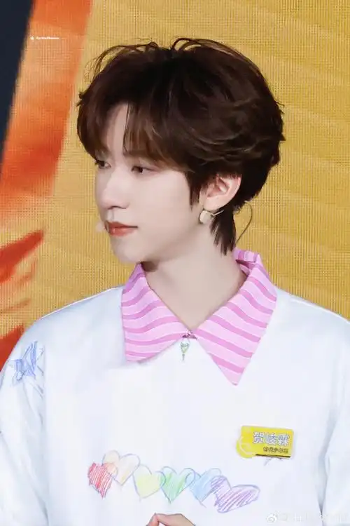 yldp-icon##冰红茶直播##贺峻霖 二十弈梦鸿鹄万里##时代少年团夏日