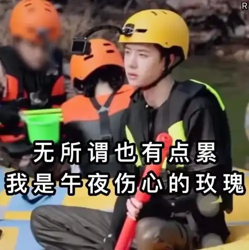 人不好色那是人吗王一博表情包-表情包网站