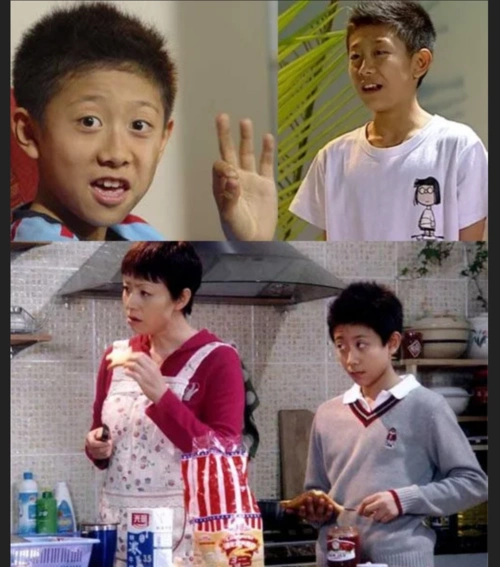 张一山的印象就是家有儿女里面那个学习不好,特别淘,还有点贱贱的刘星