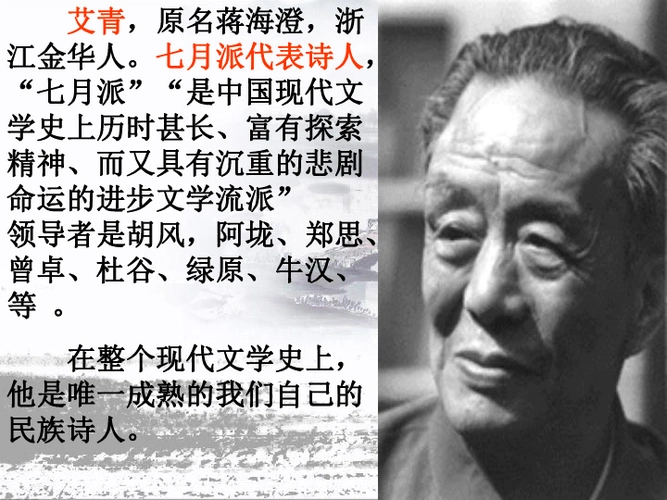 11《雪落在中国的土地上》课件(42张)