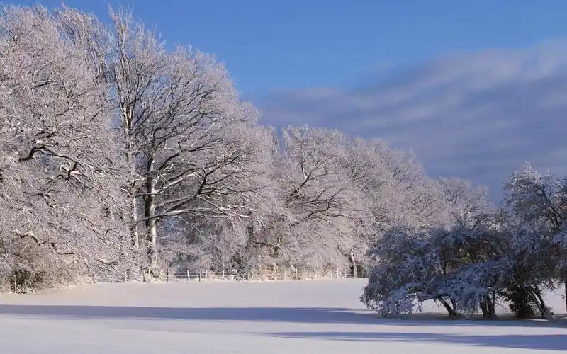 冬季唯美雪景