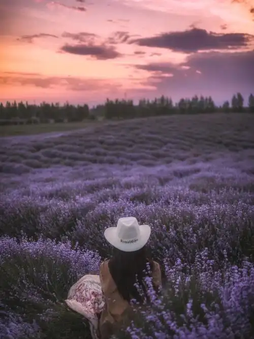 60天单车自驾国境西线薰衣草花海解忧公主