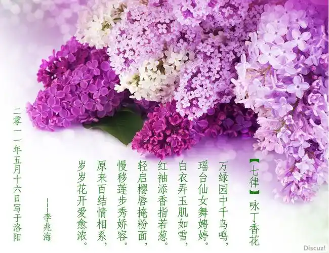 【七律】咏丁香花(新韵)
