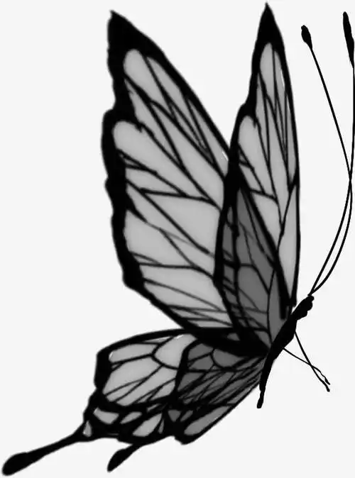 手绘黑色蝴蝶
