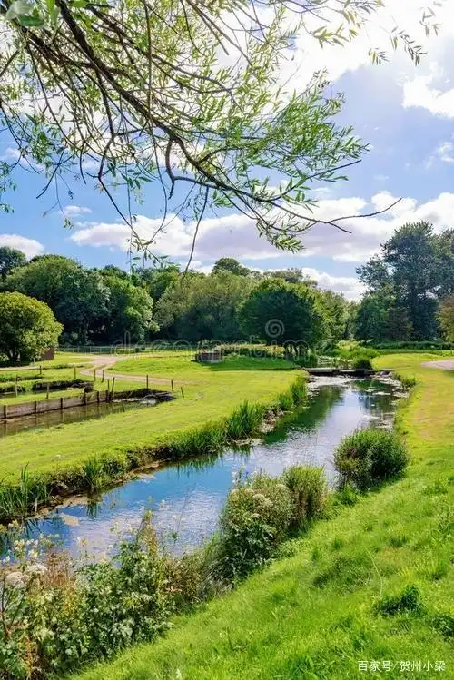 我的家乡的美丽小河