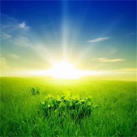 给人一种阳光的头像 高清好看充满阳光朝气的微信头像图片_微信头像