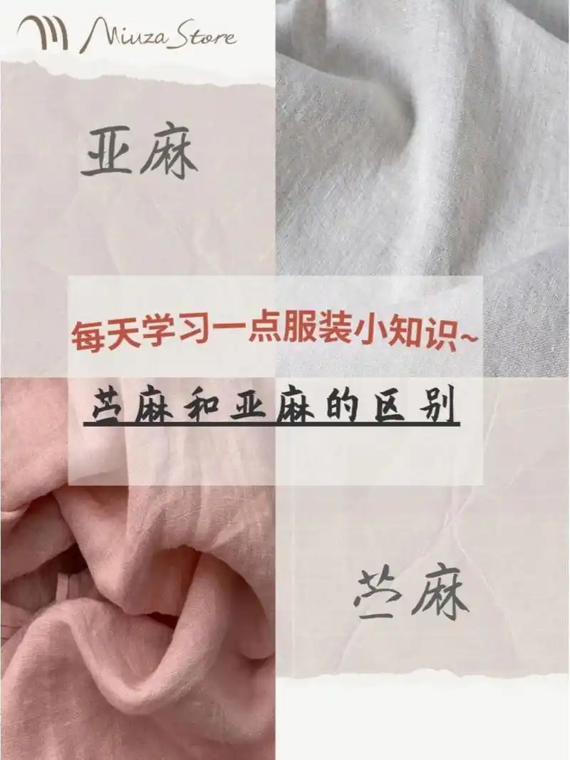 小知识|苎麻和亚麻的区别 97每天学习一点服装小知识 70 苎麻面料