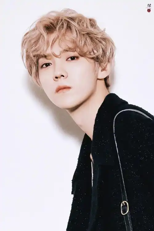 鹿晗金色卷毛造型