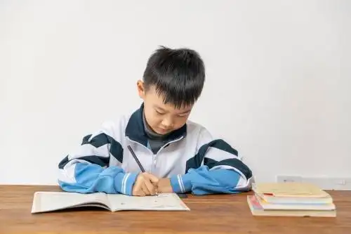 坐在桌子前写作业的小学生