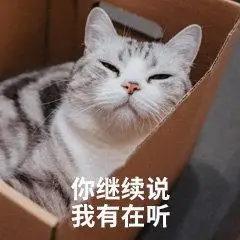 萌宠喵星人你继续说我有在听搞怪逗gif动图_动态图_表情包下载_soogif