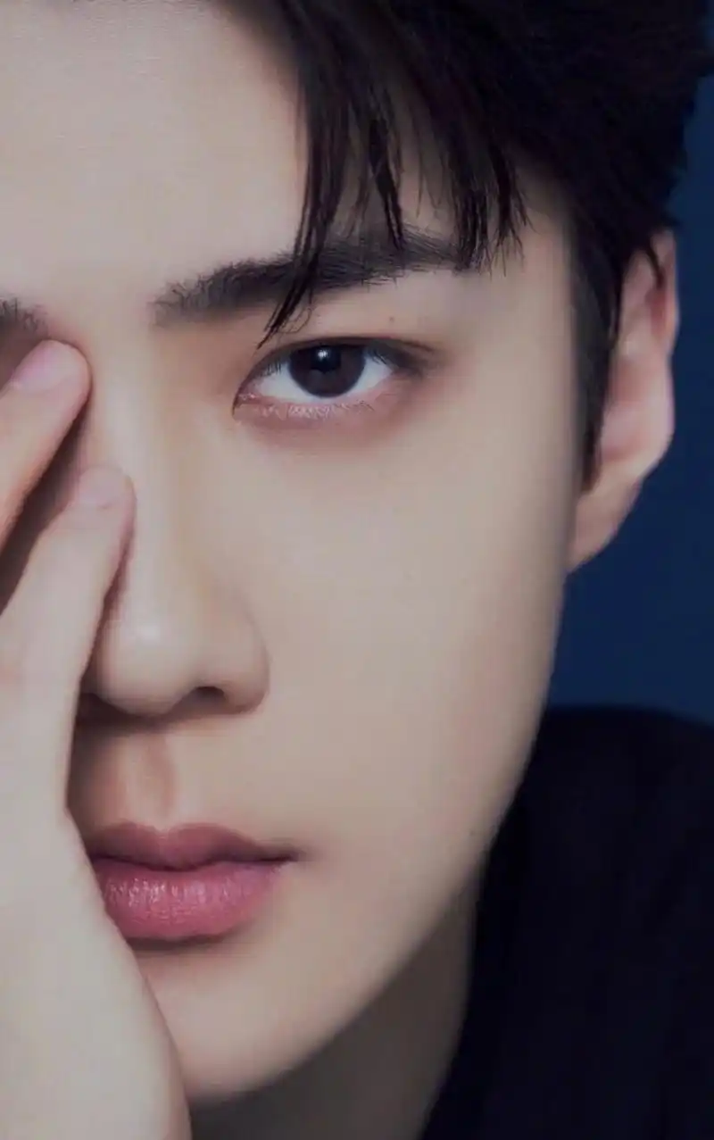 吴世勋壁纸2.0 实训哥真的帅亖