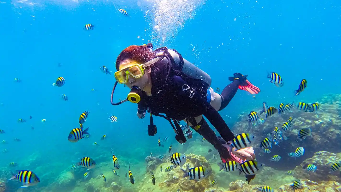 视频海南侨中初中部羊明泓分享学习经验数理化要多做题