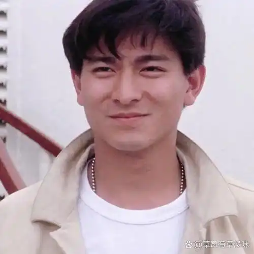 明星头像73天王刘德华