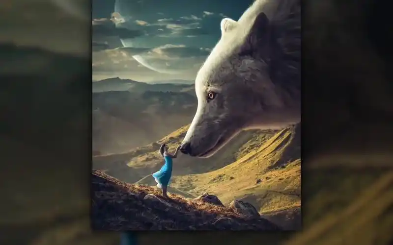 ps进阶教程:教你用ps合成创意海报(巨狼守护 )