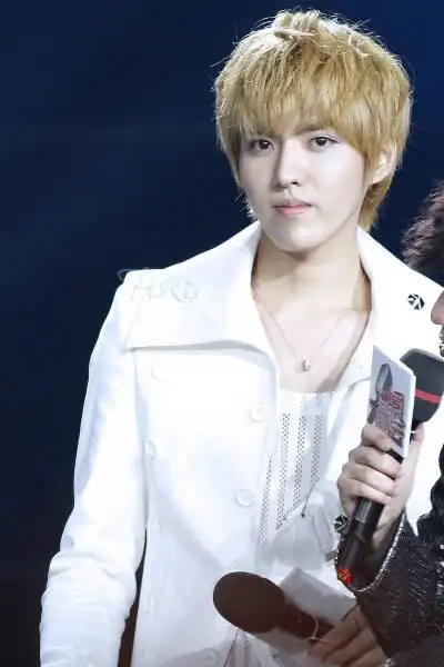 吴亦凡美颜盛世吴亦凡 kris exo 素颜男神 花美男 偶像明星 高清海报