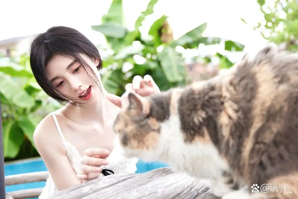 撸猫宝宝和炸毛乖宝~[嘿哈]#鞠婧祎