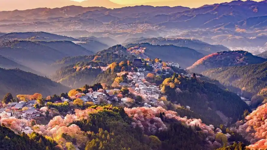 日本奈良县吉野山,2021,风景,高清,照片图片,4k高清风景图片,娟娟壁纸