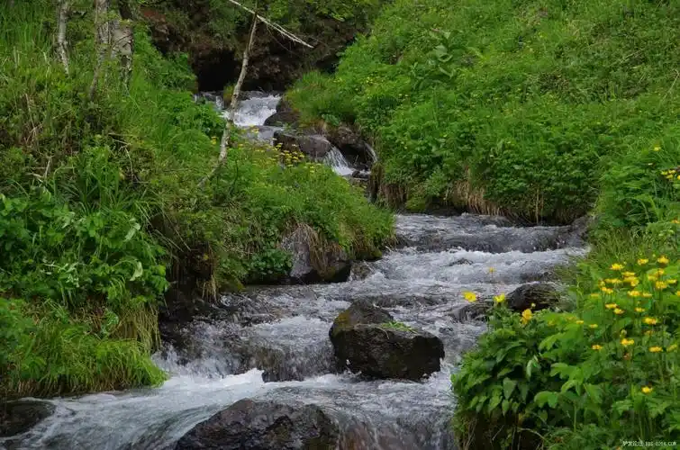 清净之旅——长白山原始森林穿越游记