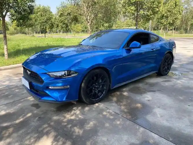 福特mustang 2020款 2.3l ecoboost 黑曜魅影特别版图片