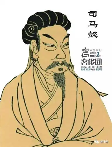 司马懿画像在人才辈出,群星荟萃的三国时代,比起个性鲜明的曹操,高风