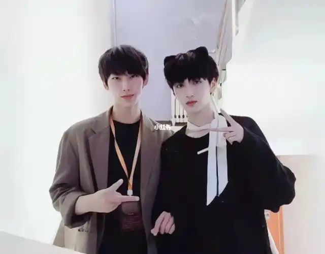 严浩翔做我的猫