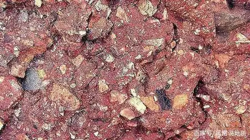 它生沉积岩类:砾(角砾)岩