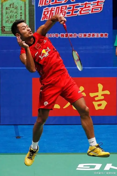 中国羽毛球一哥林丹:运动生涯的巅峰与低谷