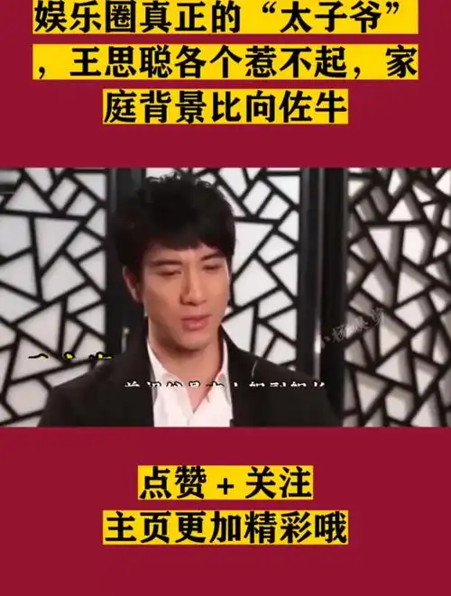 娱乐圈真正的太子爷王思聪各个惹不起家庭背景比向佐牛