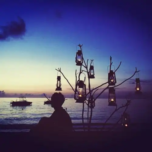 背影男生头像意境唯美小清新森系苑子文苑子豪赞评论更多