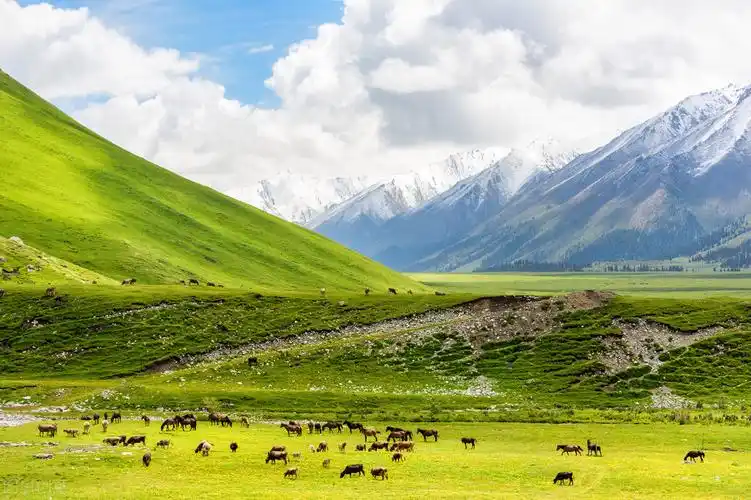 金秋专属,一到秋天就美如画的草原风光,大家一定不能错过