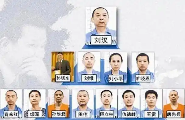 回顾:2014年,刘汉前妻出庭做证,刘汉流泪:我最对不起的就是你