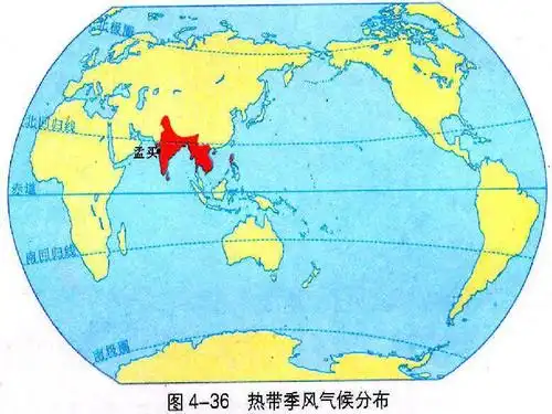 世界气候类型之热带,亚热带气候ppt