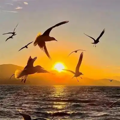 唯美黄昏风景头像