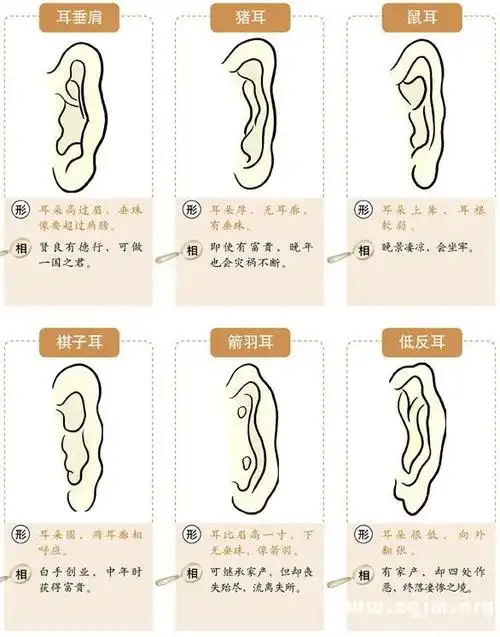 图解耳的形状种类