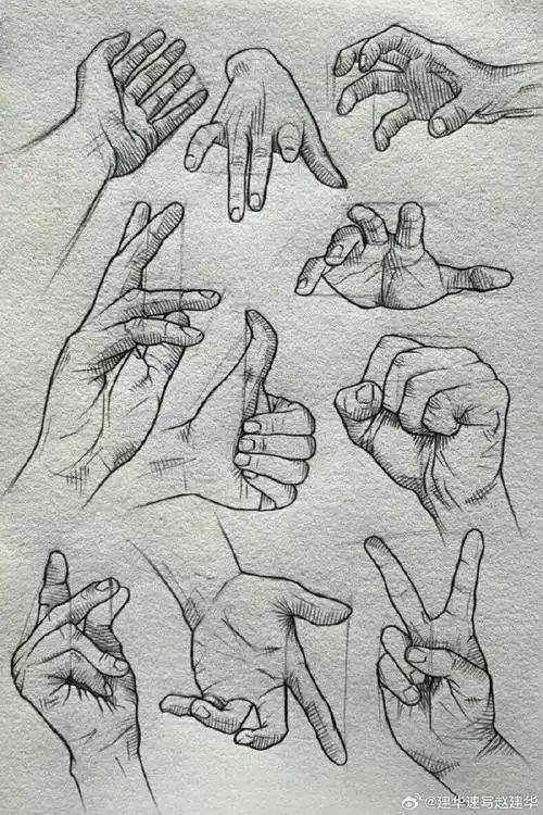 速写手部素材#绘画素材