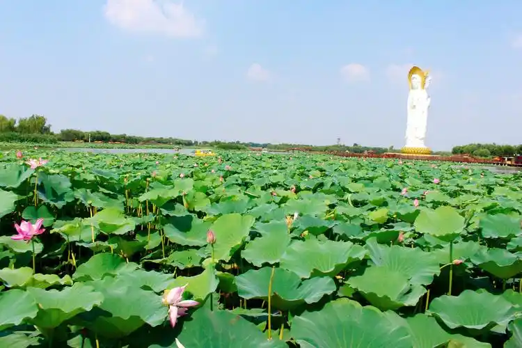 河北 保定 雄安新区 白洋淀