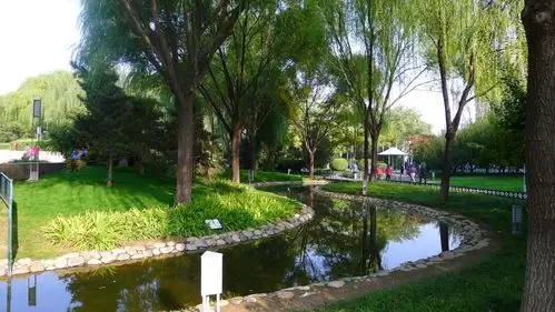 阳光星期八公园游迹