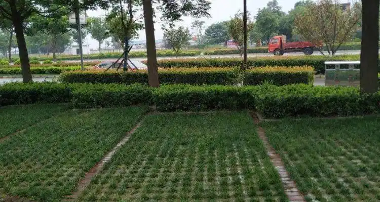 户外停车场地面铺什么