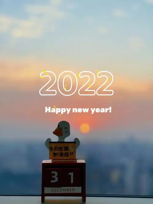 再见20212022会更好78