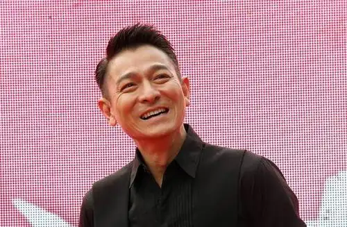 据台湾媒体报道,香港四大天王之一的刘德华(华仔),于2008年低调迎娶