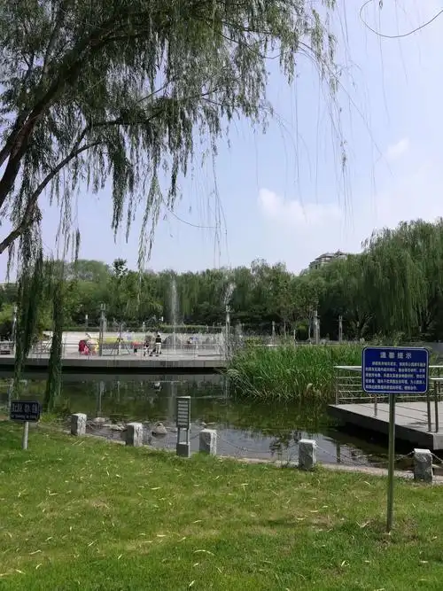 赞阳光星期八公园