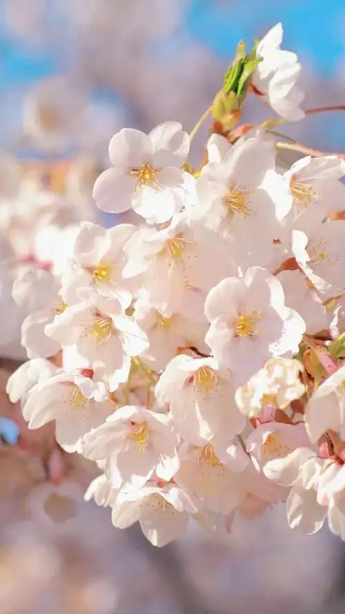 1080_1920竖版 竖屏