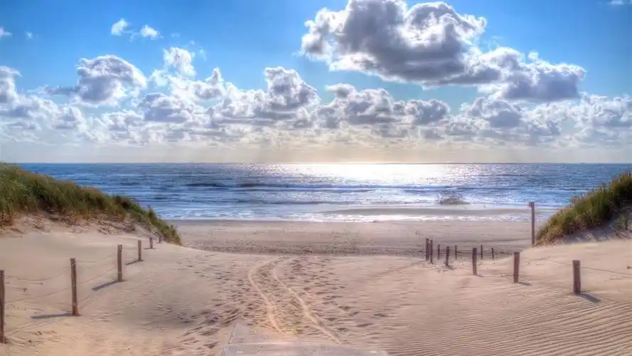 海滩,沙子,草,海,云 壁纸 - 1366x768