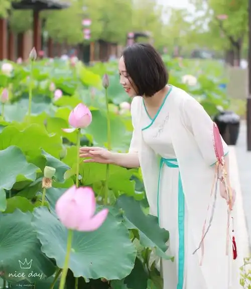 心如莲花,人生就会一路芬芳!