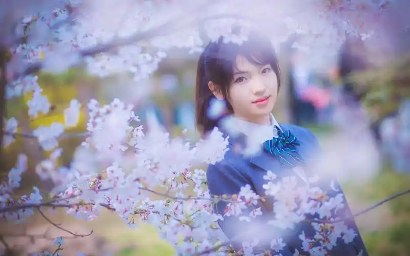 樱花下小清新美女写真图片桌面壁纸