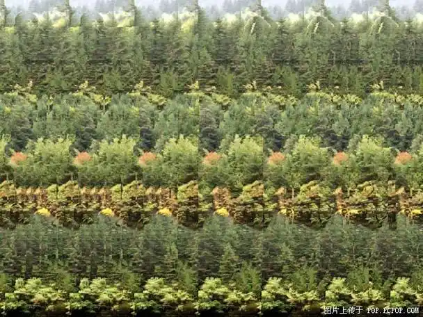 160副益智三维立体图 .lyyl689